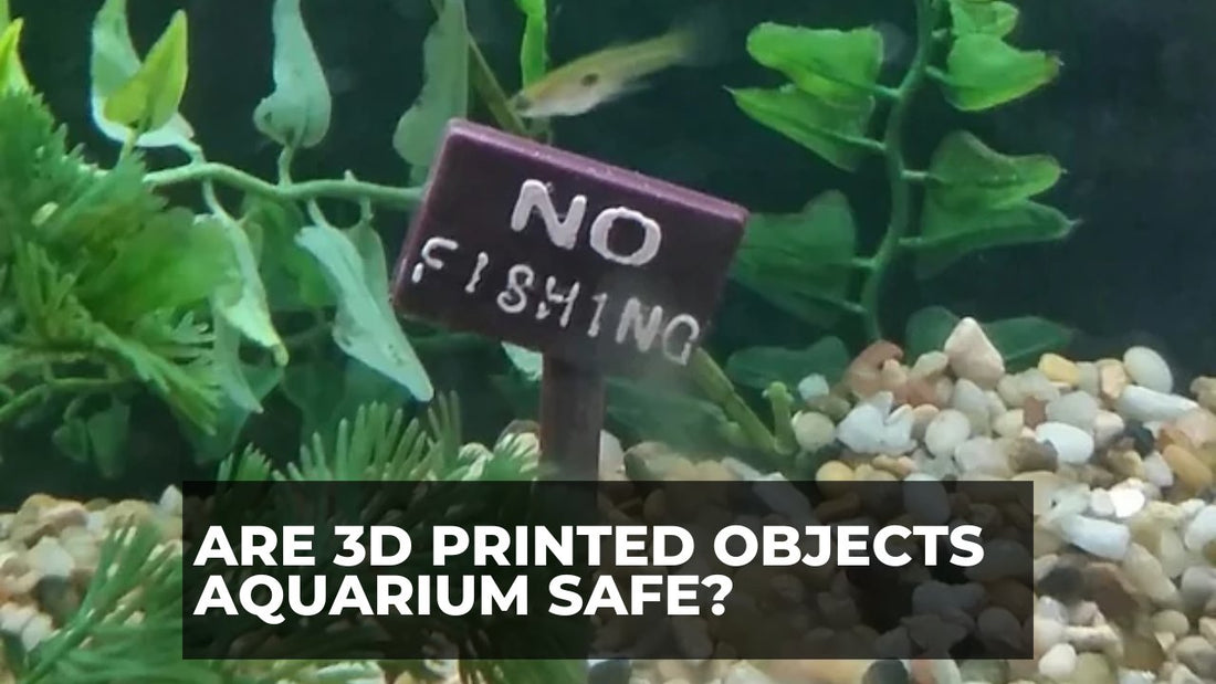 Is PLA Safe for Aquarium Fish and Shrimp? Understanding Your Options