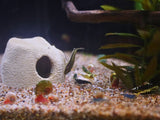 Aquarium Natural Hiding Cave - Safe hiding place for fish.