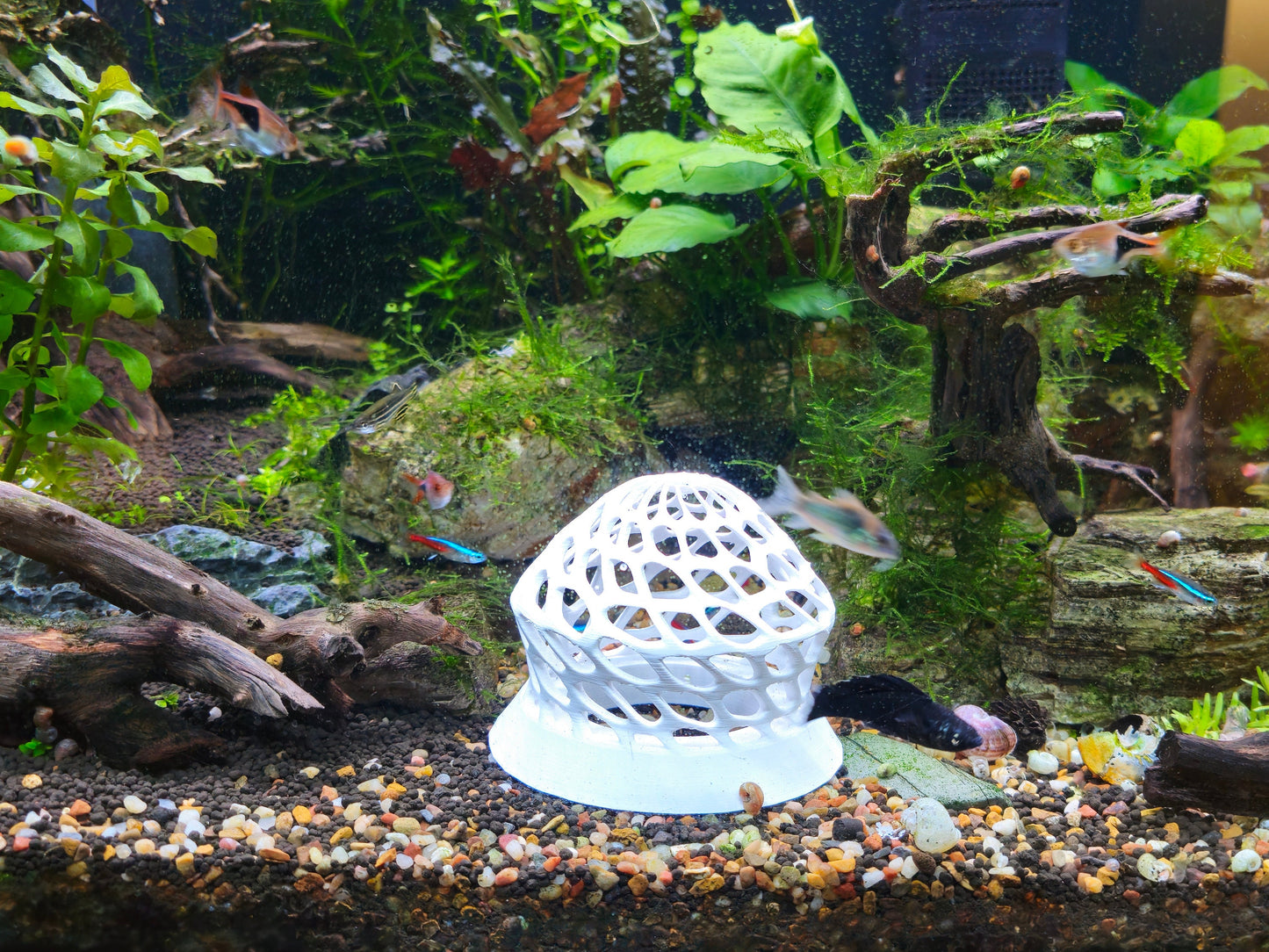 Shrimp Hide -  Safe, Stylish, and Naturalistic Design for Your Aquarium